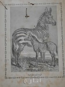 الروض النضير لبهجة كل ولد صغير