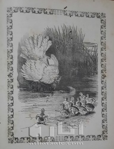 الروض النضير لبهجة كل ولد صغير