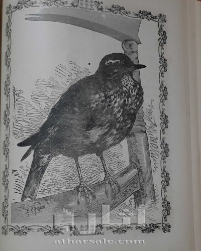 الروض النضير لبهجة كل ولد صغير