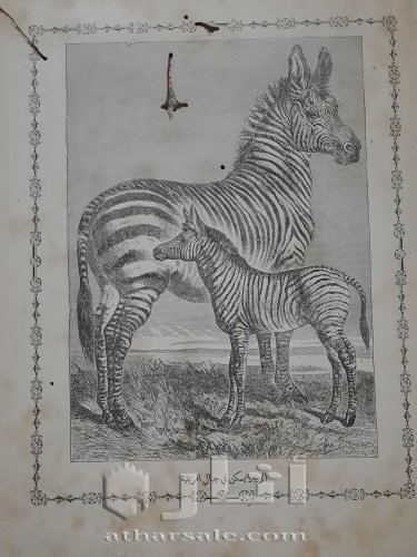 الروض النضير لبهجة كل ولد صغير