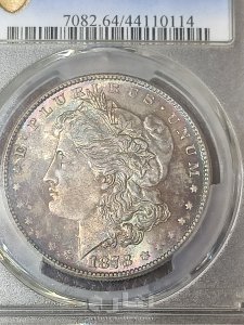 مرجان دولار 1878.S