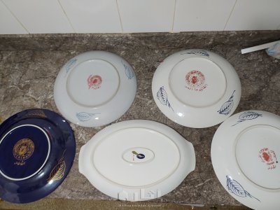 الطاووس الحر 6