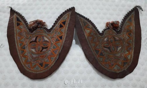 قطعة من الجلد عمرها 100  سنة