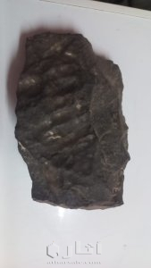 نيزك عليها آثار صوبع بشريه