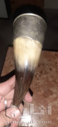 خرتيت مدفون في اراضي وقصر من مماليك اليمن