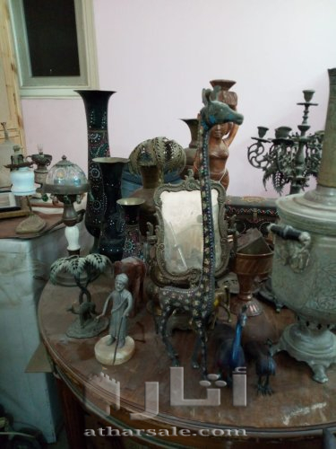 معرض كبير للبيع