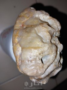 حجارة كريمه