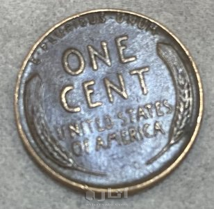 سنت امريكي نادر جداً  ١٩٥٢ فيه خطأ اختلاف حجم السنبلتين