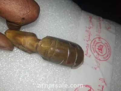 قرن الخرتيت 2