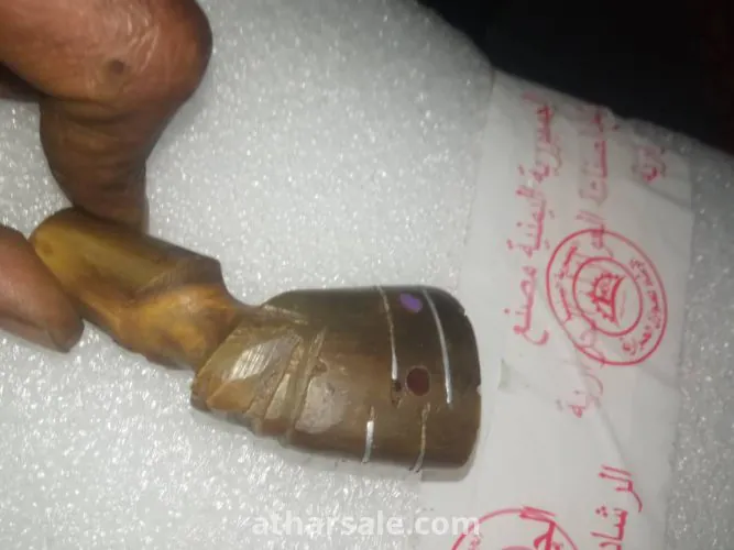 قرن الخرتيت