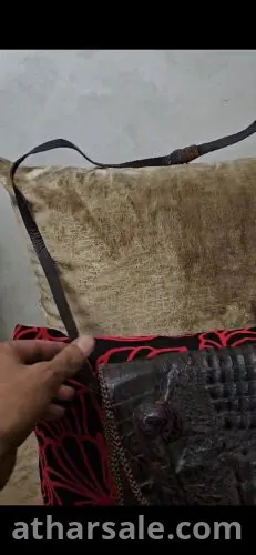 محفظة من التاريخ عبارة عن تمساح حقيقي