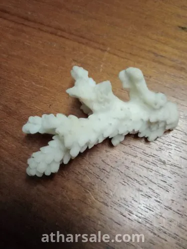 قطعه فريده من حجر المرجان الابيض