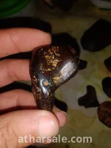 حجر النمر 4