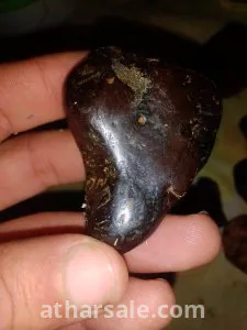 حجر النمر