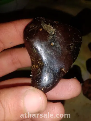 حجر النمر