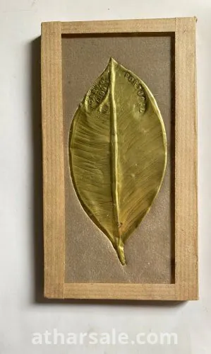 عملات نادرة من خمس قطع