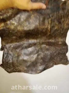 بردية مصرية أثرية 1