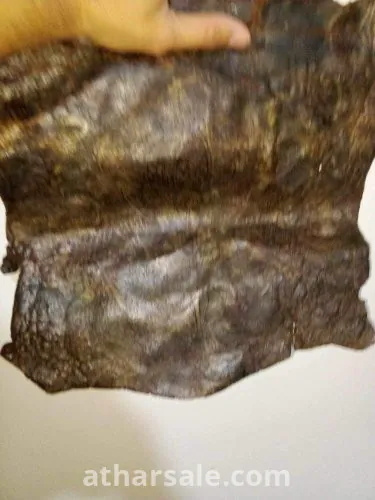 بردية مصرية أثرية