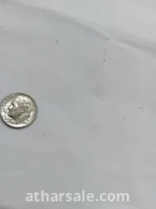 دان الأمريكي خطا نادر 5