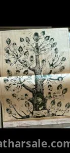 ٣ مجلدات المصور للزفاف الملكي و حياة الملك فاروق والحياة داخل القصر وشجرة العائله الملكيه بالتفاصيل +٥ مجلدات للمصور 11