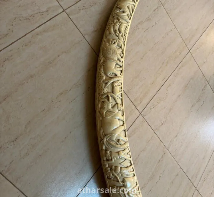 قطعه نادره