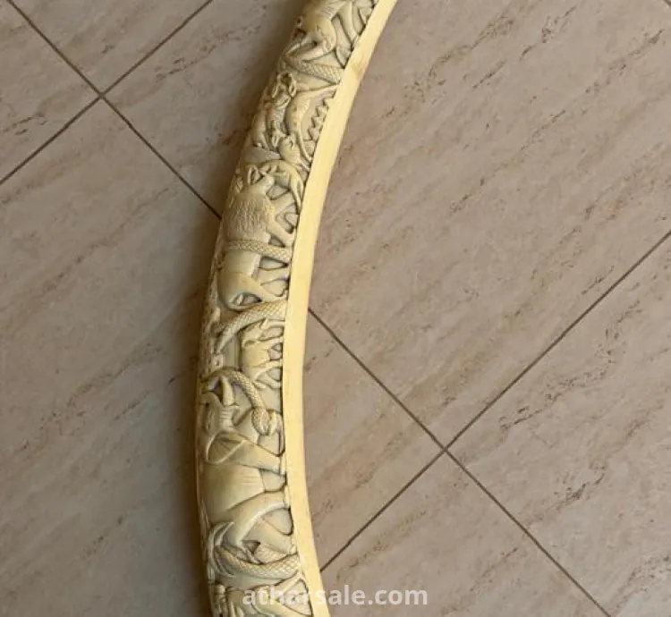 قطعه نادره