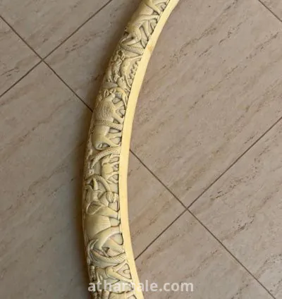 ناب فيل نادر مزخرف