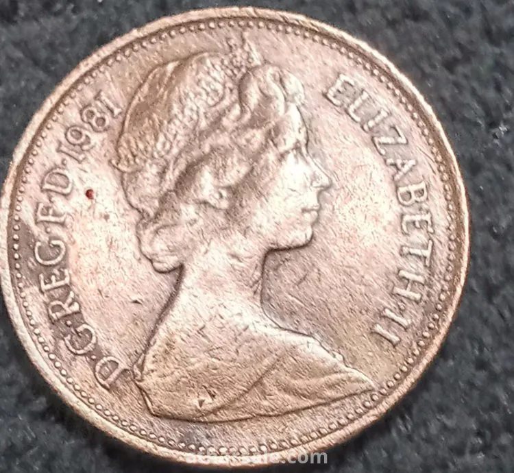 RARE 1981 2 NEW PENCE British Elizabeth II Coin BN