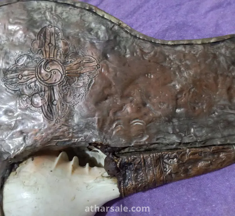 بوق النادر التيبت منذ عام ٨٠٠