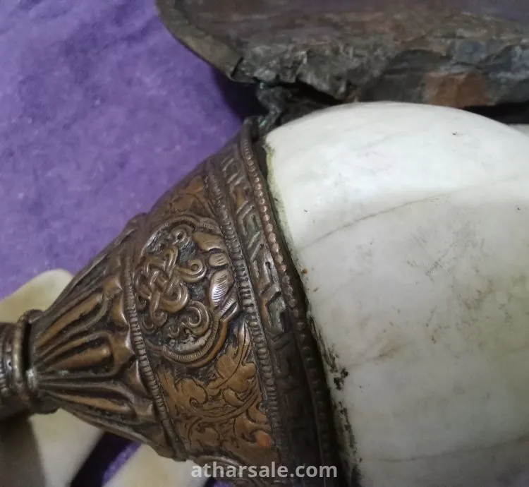 بوق النادر التيبت منذ عام ٨٠٠