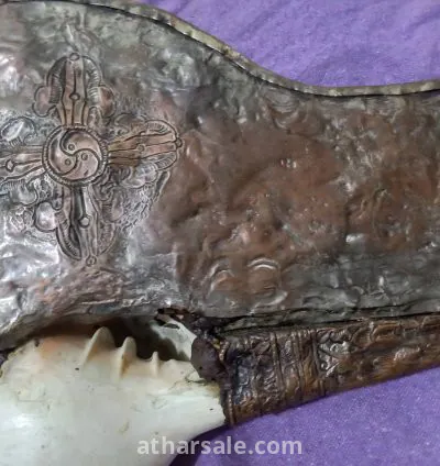 بوق النادر التيبت منذ عام ٨٠٠ 15