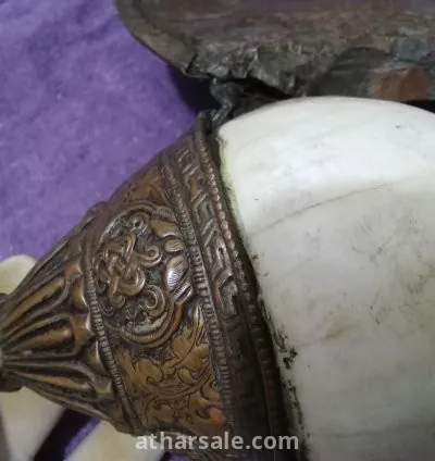 بوق النادر التيبت منذ عام ٨٠٠ 13