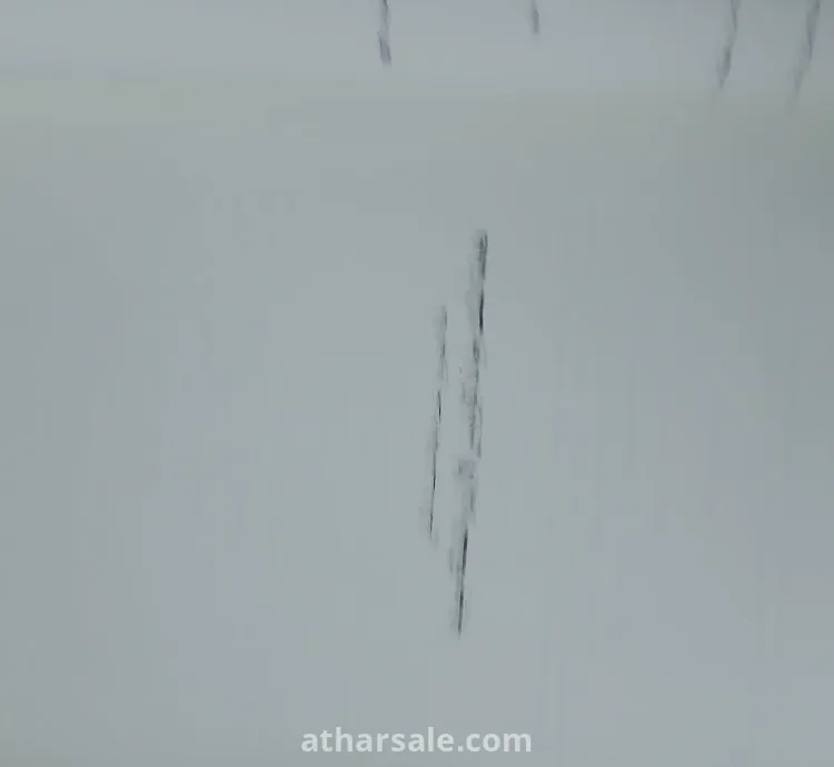 كتاب ابن خلدون – البحر المتوسط في القرن الرابع عشر – قيام وسقوط إمبراطوريات