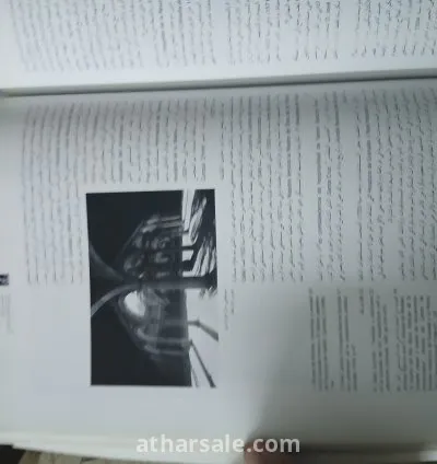 كتاب ابن خلدون – البحر المتوسط في القرن الرابع عشر – قيام وسقوط إمبراطوريات 12