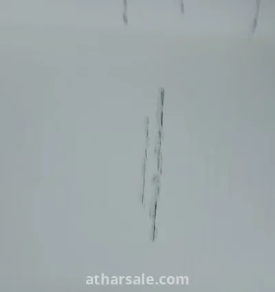 كتاب ابن خلدون – البحر المتوسط في القرن الرابع عشر – قيام وسقوط إمبراطوريات 8