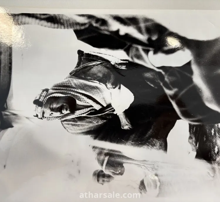 صور قديمه اثرية