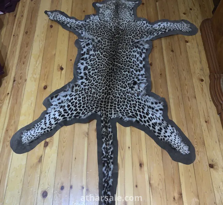 جلد نمر نادر جدا