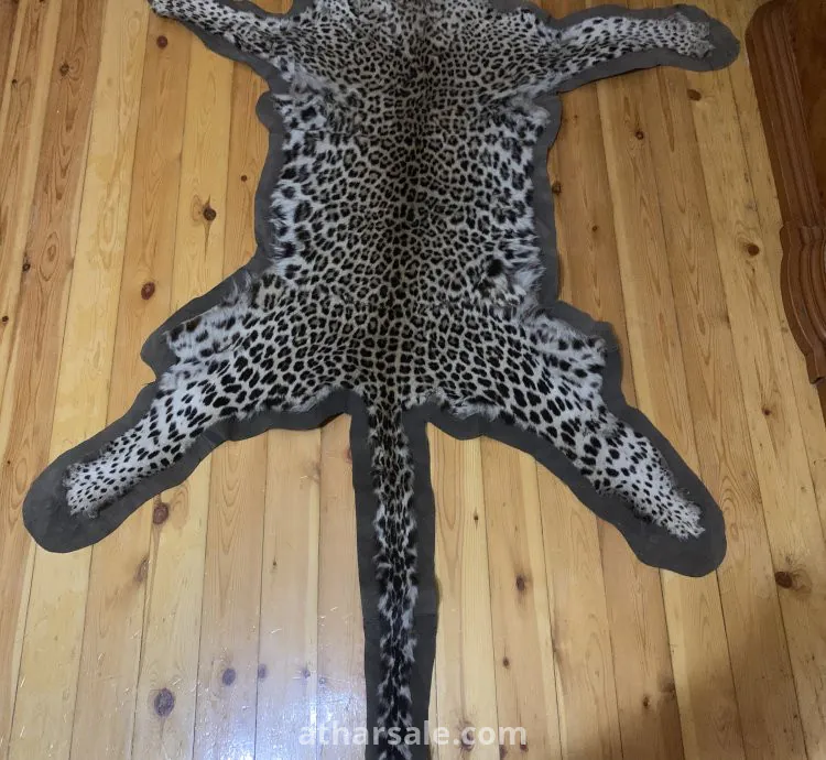 جلد نمر نادر جدا