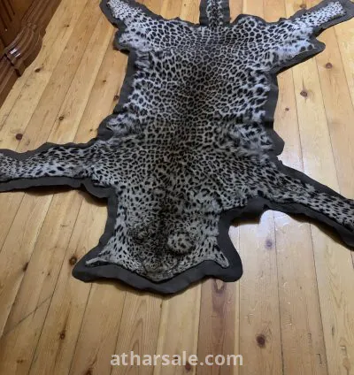 جلد نمر نادر جدا 3