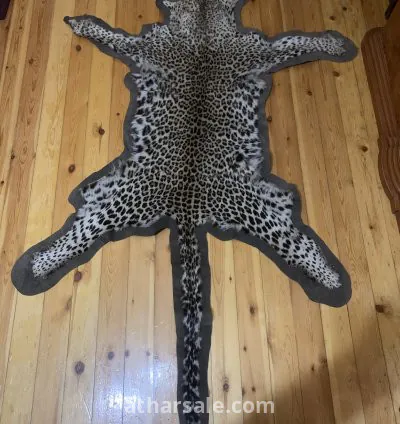 جلد نمر نادر جدا