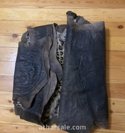 جلد نمر نادر جدا