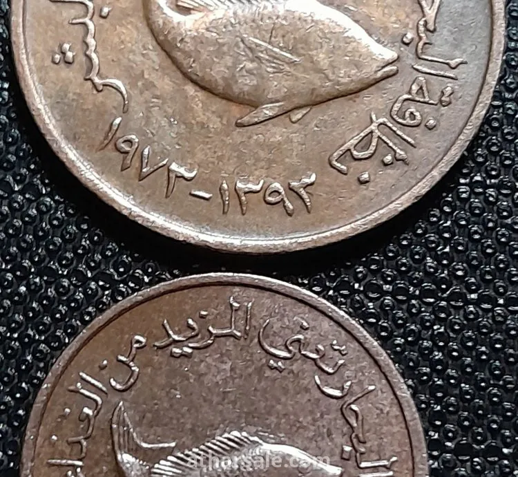 عملة معدنية إماراتية ( الفاو  )