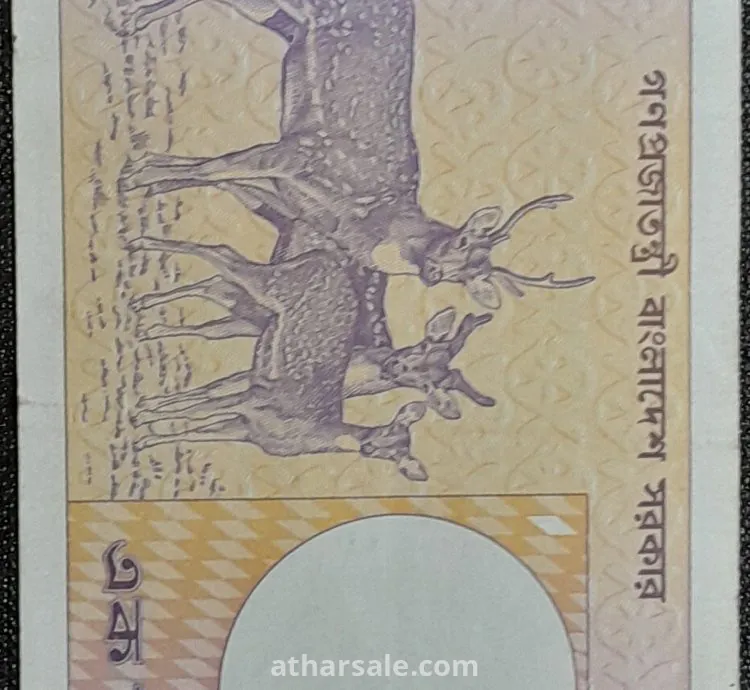 واحد تاكا بنجلاديشى ( عائلة الغزلان  )