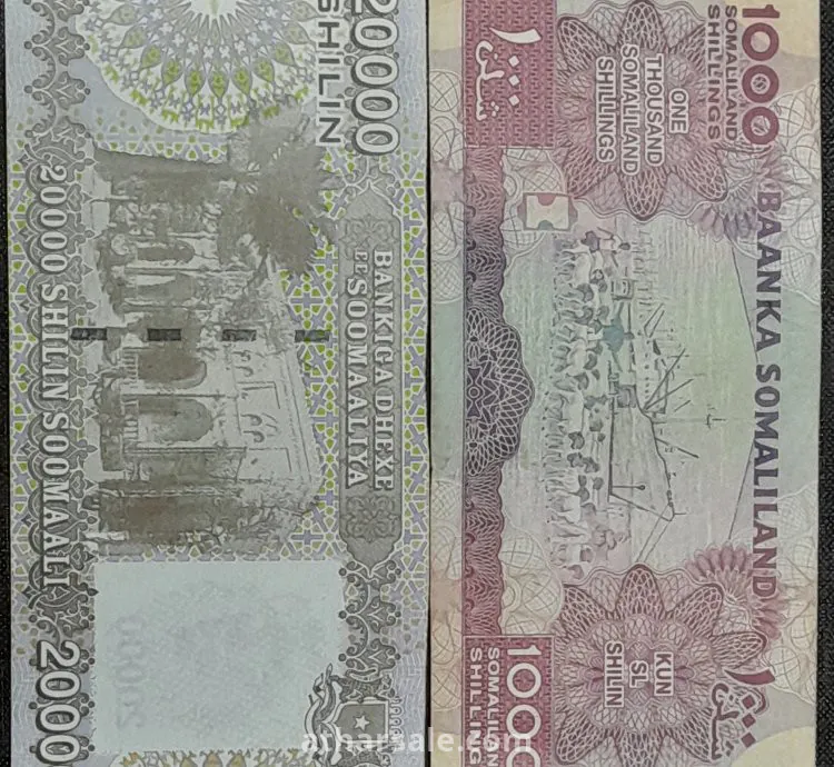 20000 شلنا صومليا
