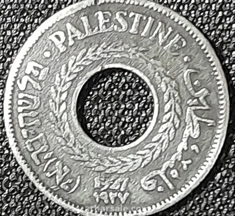 5 ملات فلسطينى خطأ سك