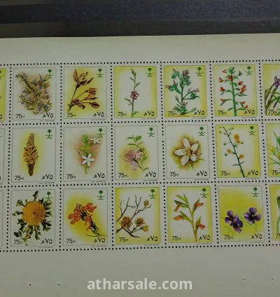 النباتات والأعشاب النادرة فى السعودية