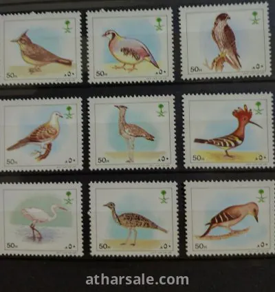 الطيور النادرة بالمملكة العربية السعودية