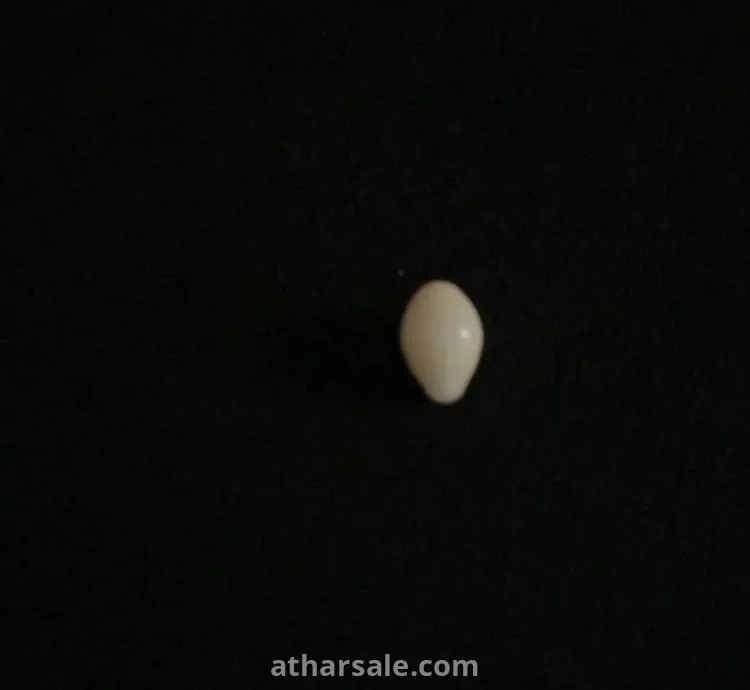 لؤلؤة بحرية طبيعية غير زراعية