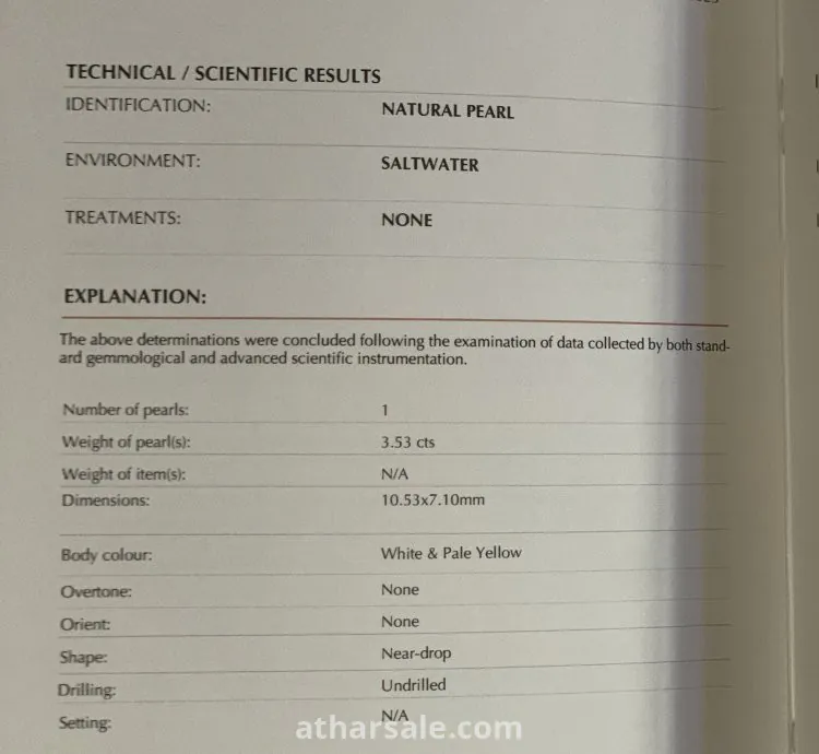 لؤلؤة بحرية طبيعية غير زراعية