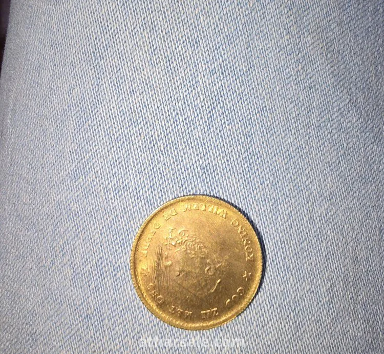 هذه العملة هي عملة ذهبية هولندية بقيمة 10 غيلدر (10 Gulden)، وتحديداً من عهد الملك ويليم الثالث